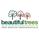 Beautiful Trees