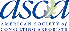 ASCA Badge